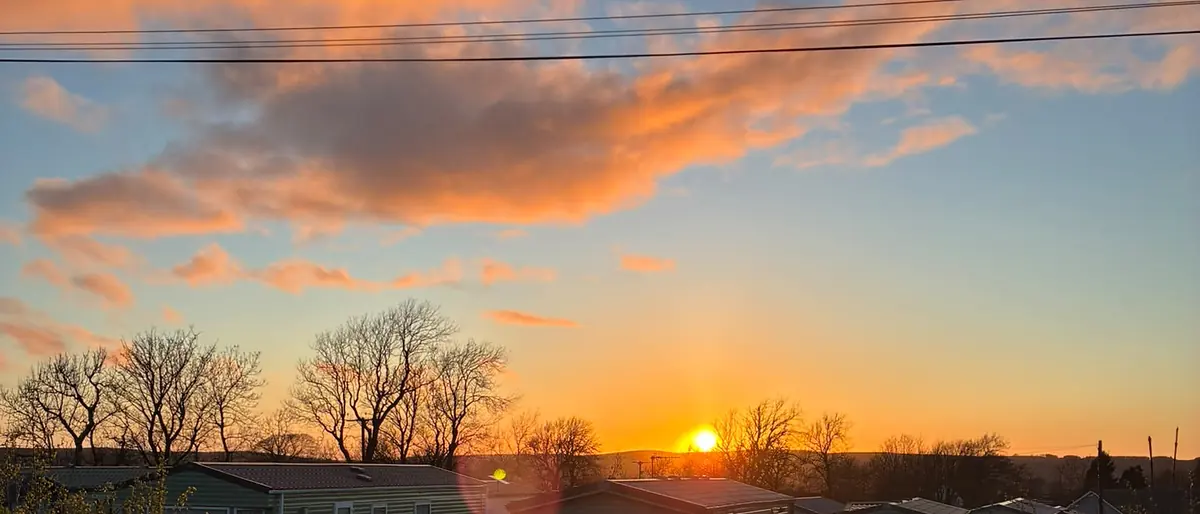 The sun setting behind the trees at the edge of the park, seen from the gate.